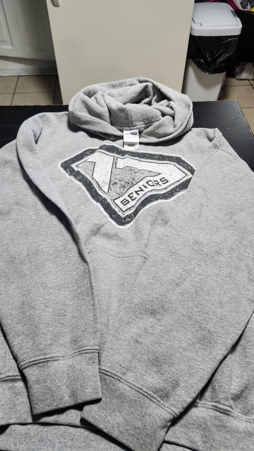 Gildan Seniors Gray Hoodie