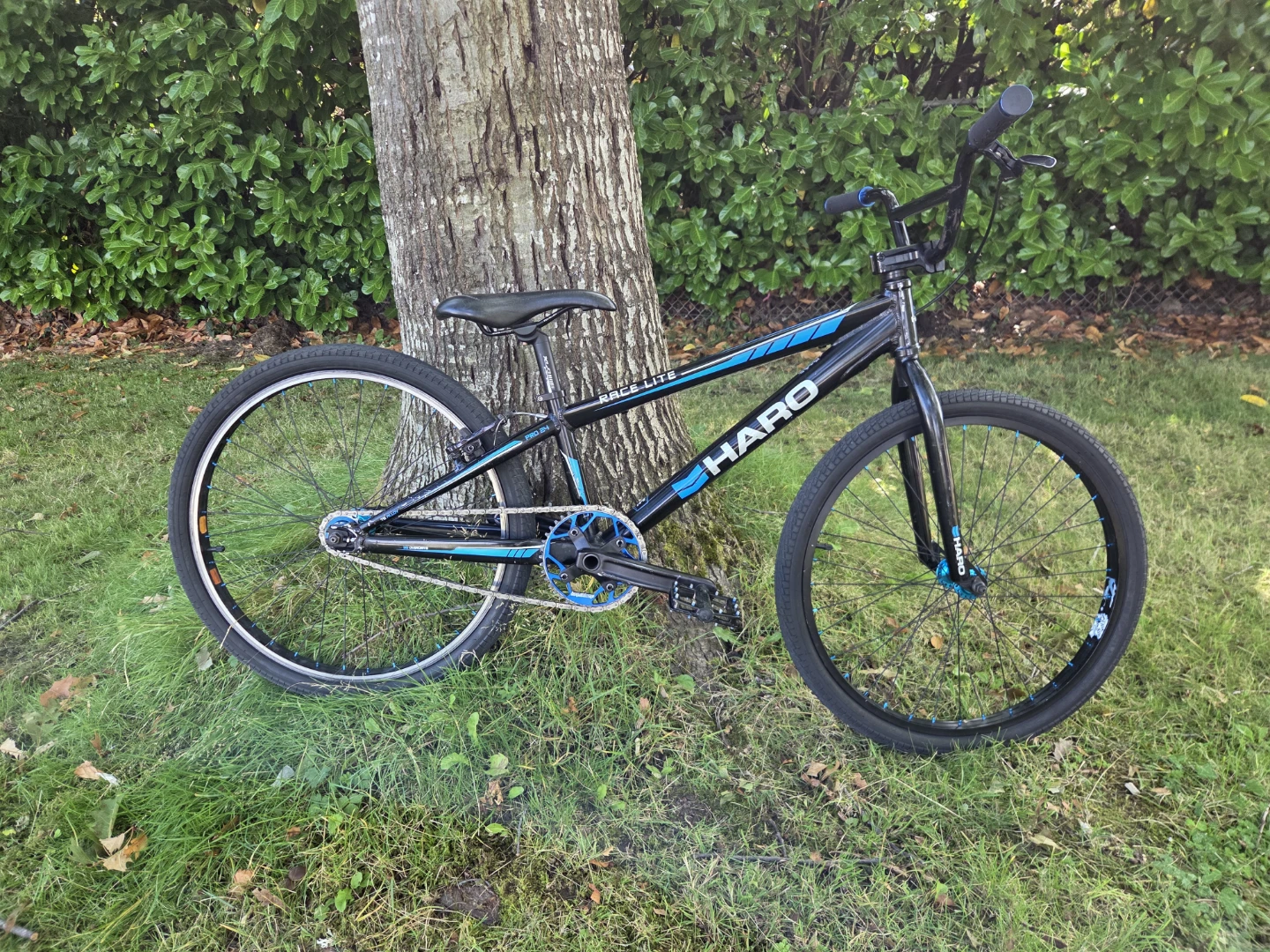Haro Race Lite Pro 24 Cruiser BMX - photo 3