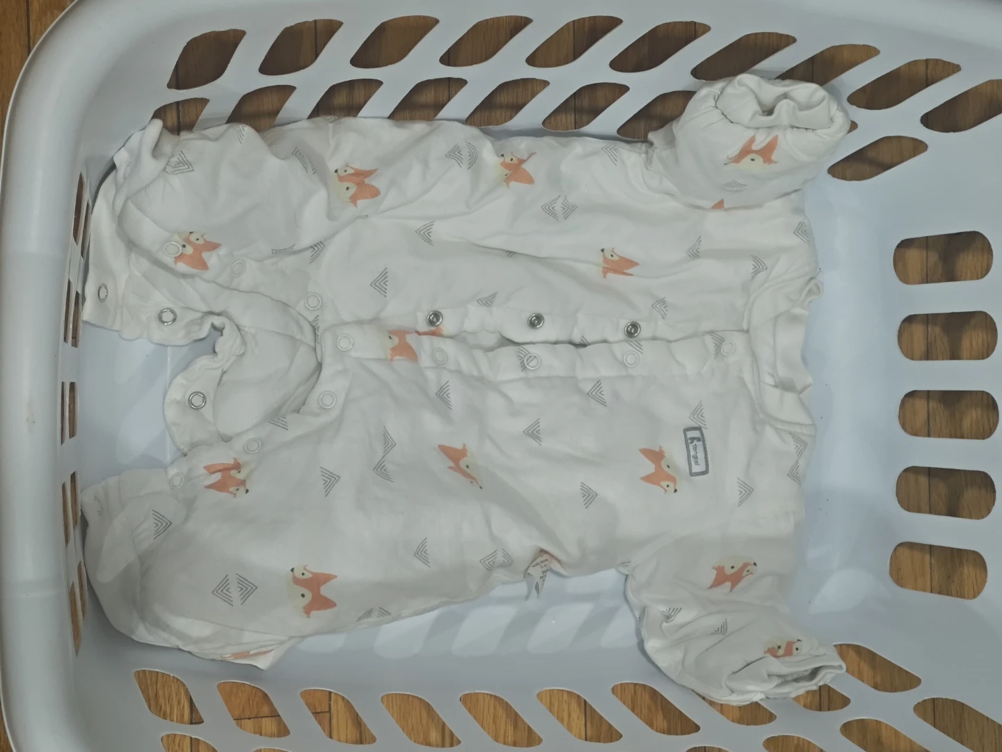 Baby Bodysuit Assortment - photo 2