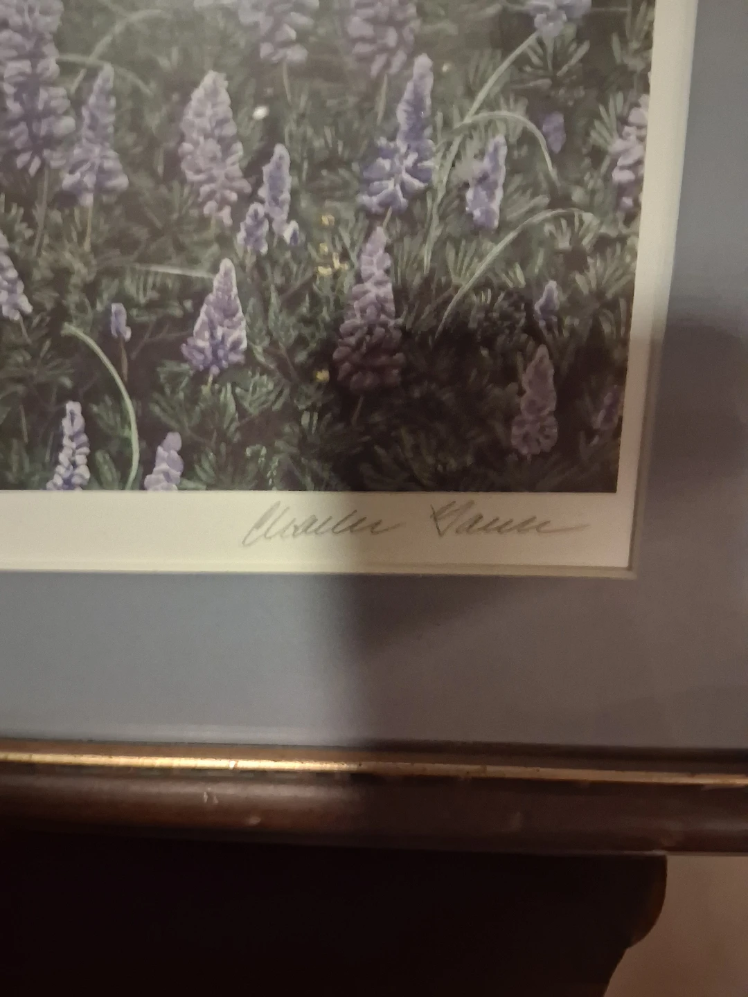 Gause Signed Limited Edition Bear Print - photo 4