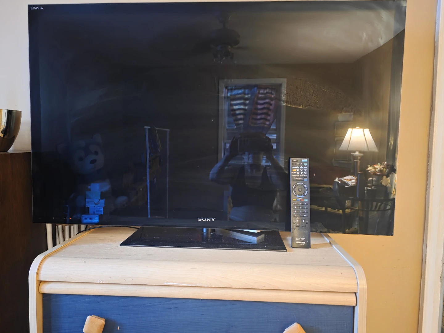 Sony Bravia Television