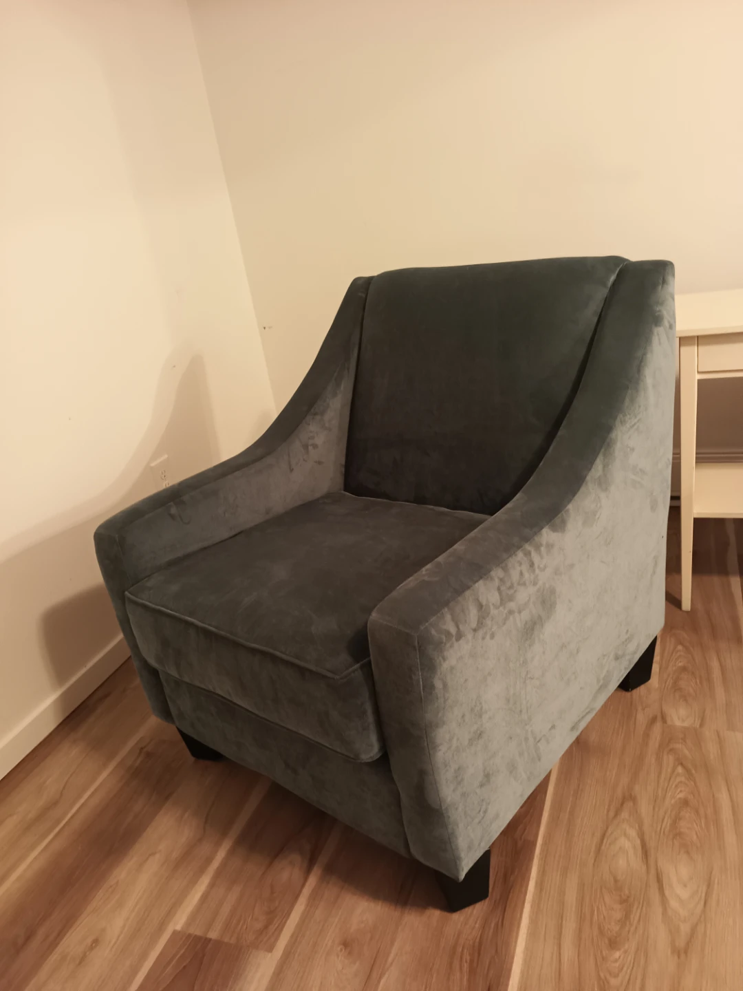 Aqua green Velvet Accent Chairs