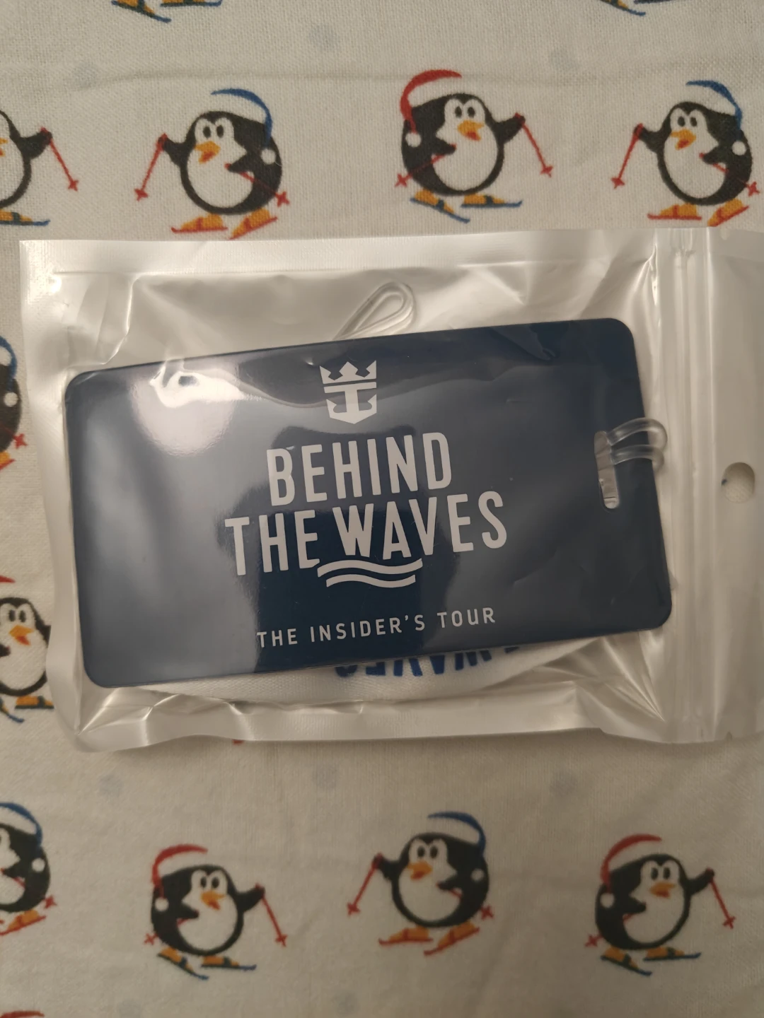 Royal Caribbean Behind the Waves Lanyard and Tag - photo 4
