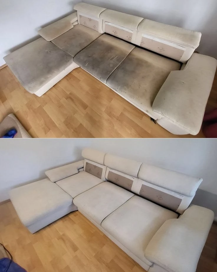 Professional Upholstery Cleaning Service - photo 5