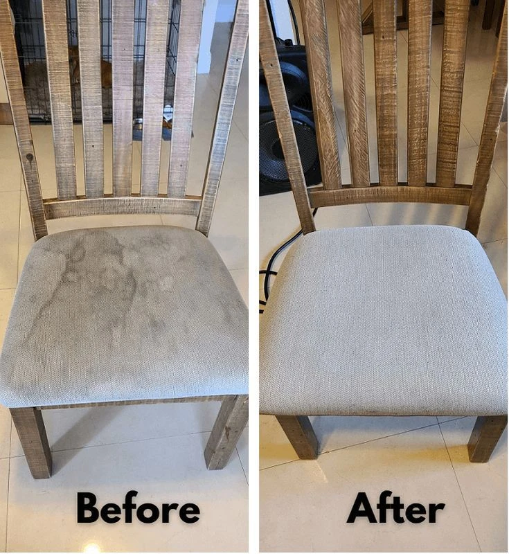 Professional Upholstery Cleaning Service - photo 3