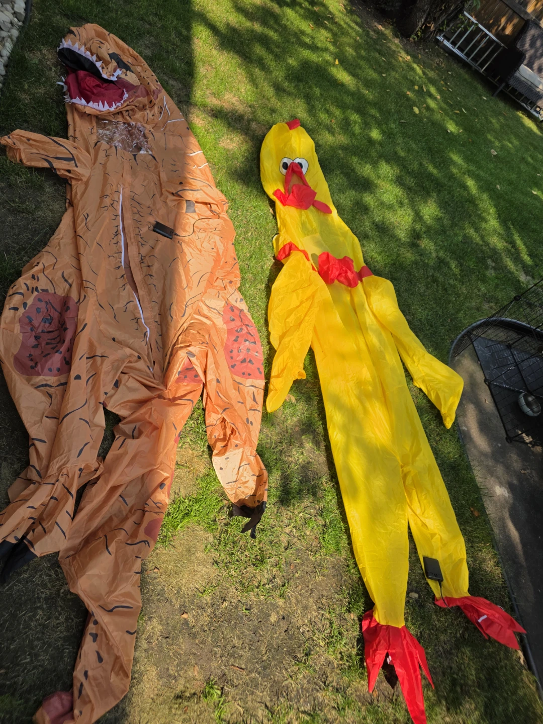 Assorted Halloween Costumes and Accessories - photo 4