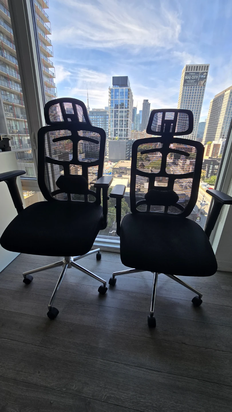 Ergonomic Staples Mesh Office Chairs with Headrests