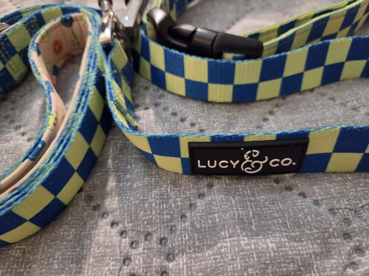 Lucy & Co. Dog Collar and Leash Set