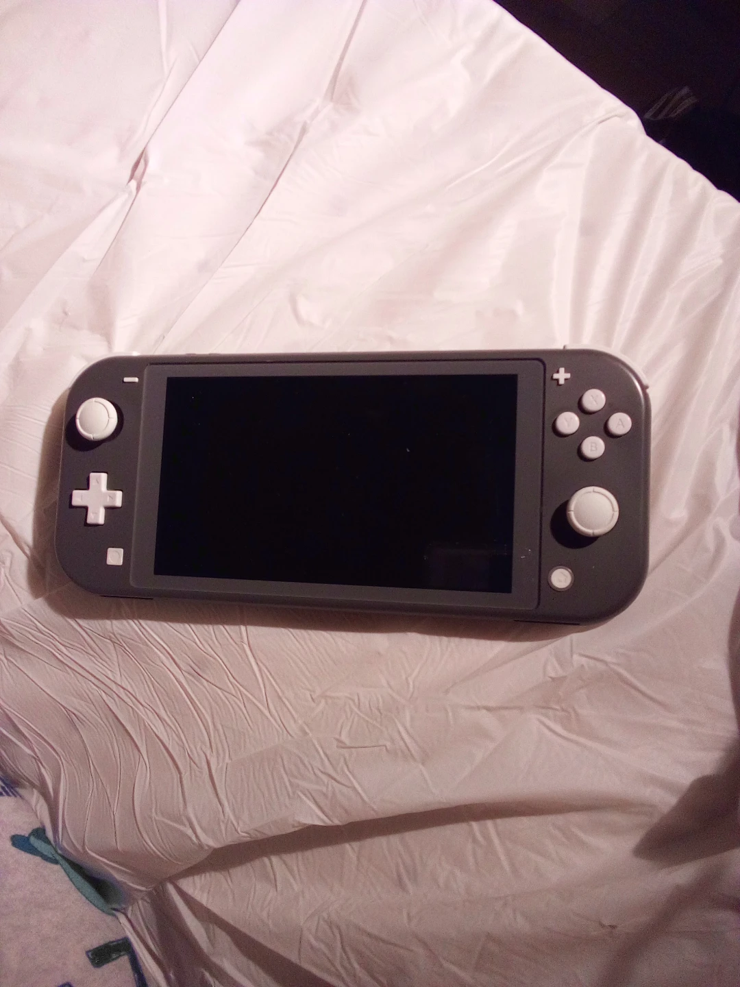 Nintendo Switch Lite with 2 Games