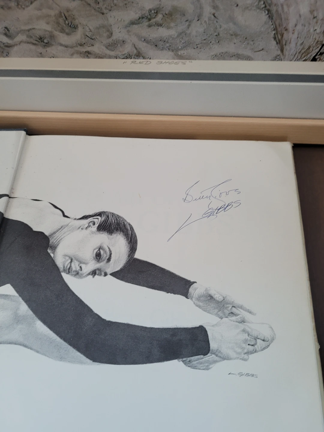 Len Gibbs Print Red Shoes and Art Book - photo 2