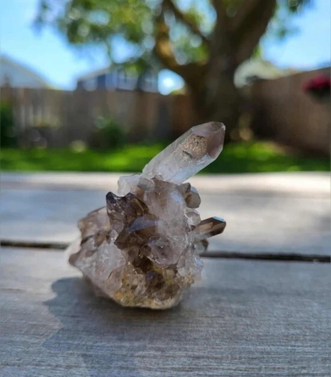 Smoky Quartz Crystal Cluster 🏈 - photo 5