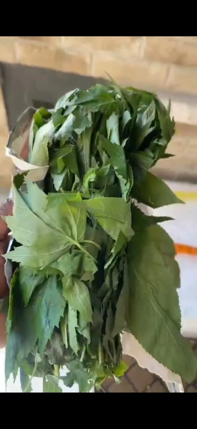 Ewedu