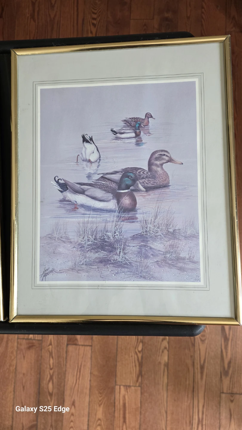 Set of Two Ann Moller Duck Prints - photo 3