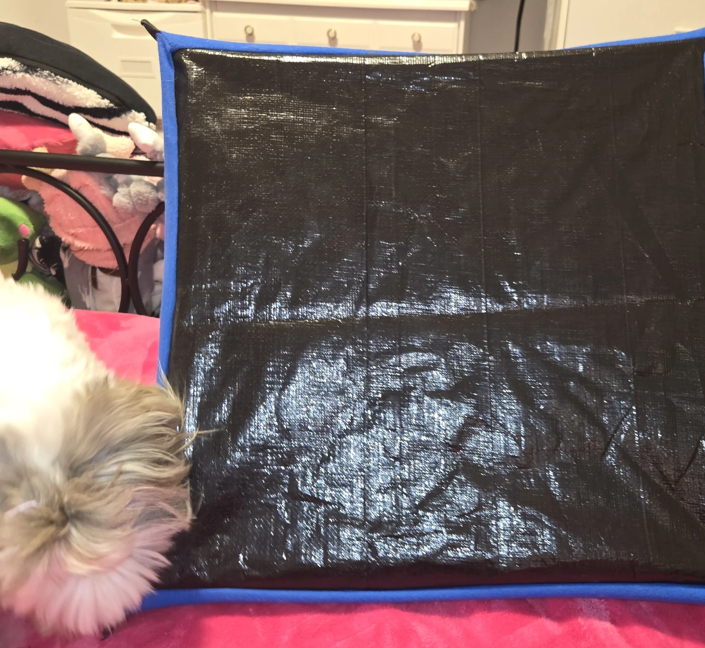 Blue Pet Tent Bed - photo 4