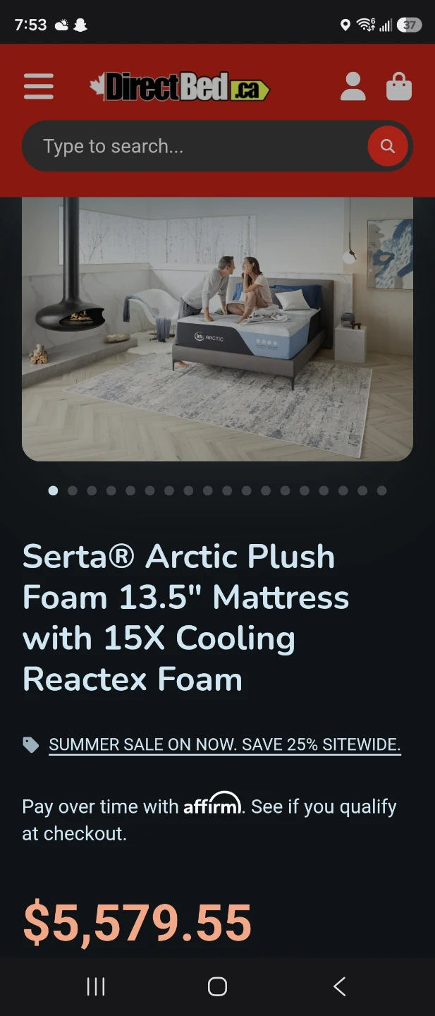 Serta Arctic Plush Foam 13.5" Mattress