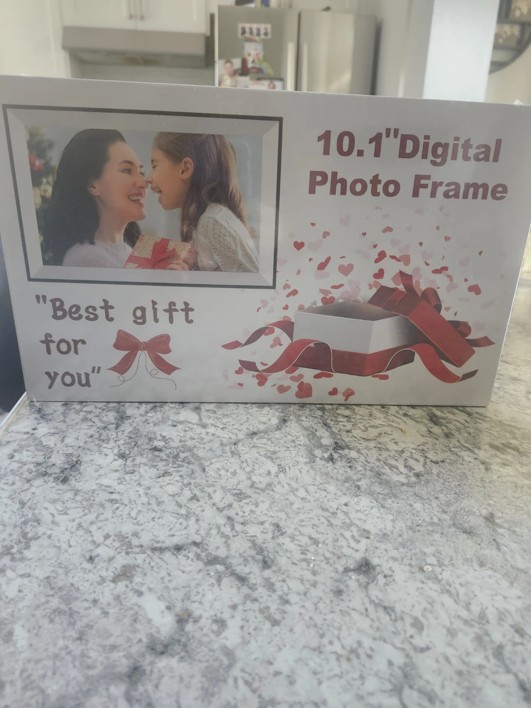 10.1 Inch Digital Photo Frame