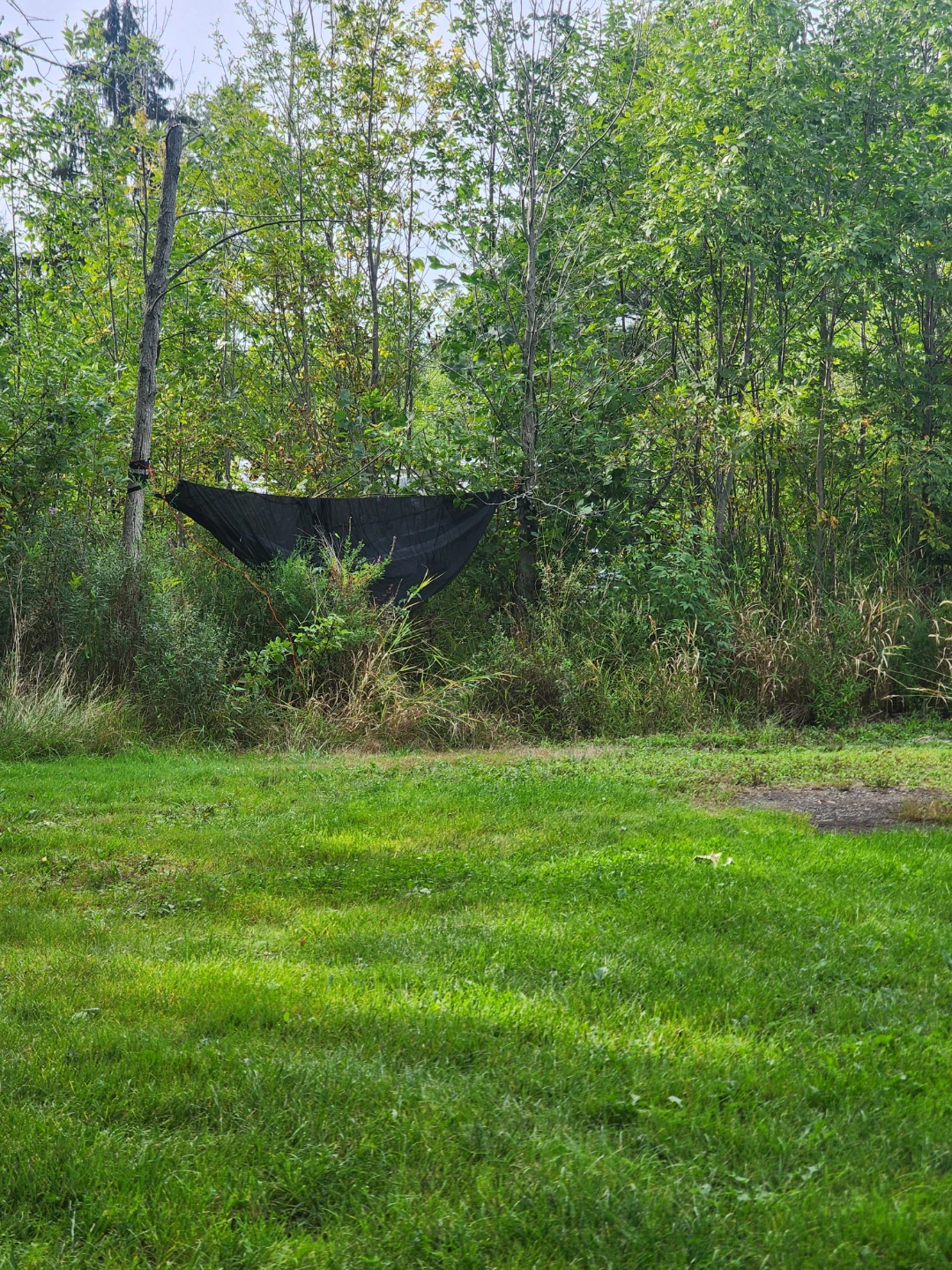 camping hammock with  bug net