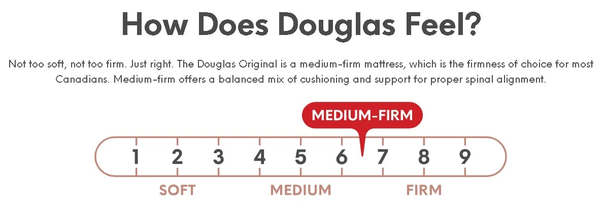 Douglas Foam Mattress Twin - photo 2