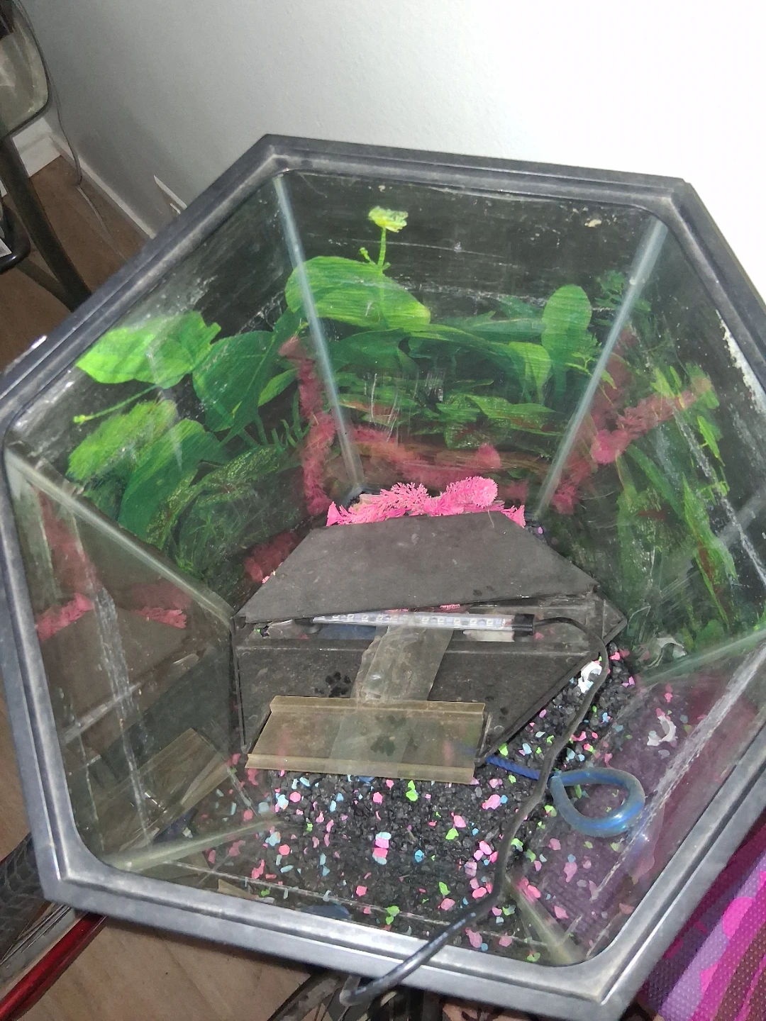 Bikes, Basket, A/C, Fishtank - photo 5