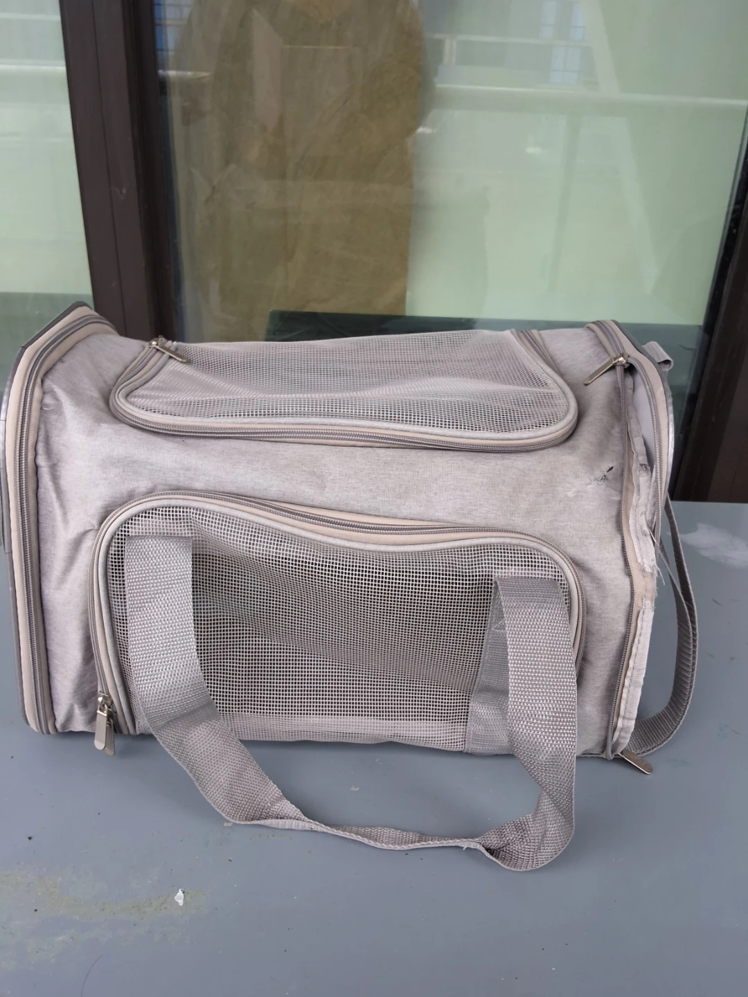 Soft-sided grey pet carrier