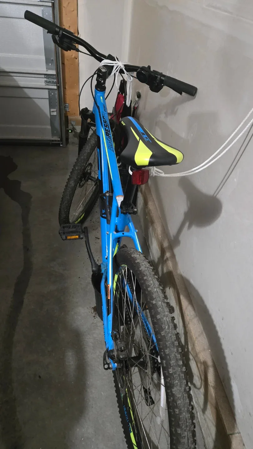 Mountain bike