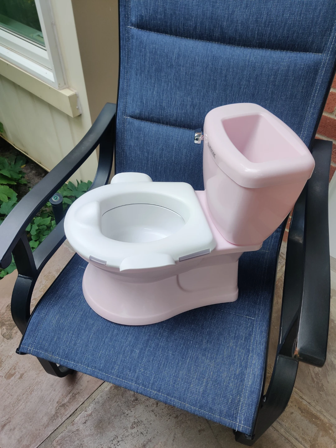 Training Potty - Pink