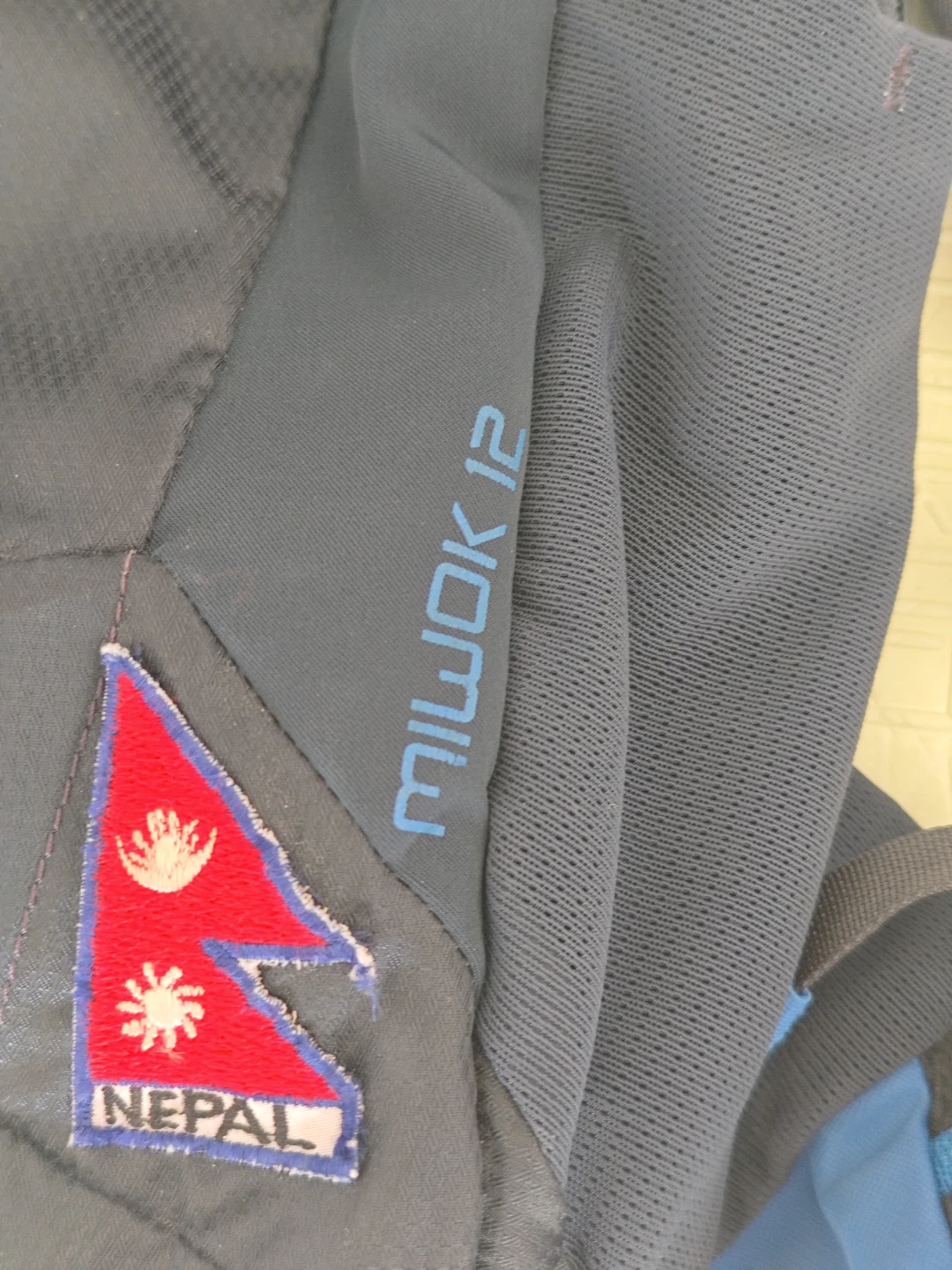 Gregory Miwok 12 Backpack - photo 3