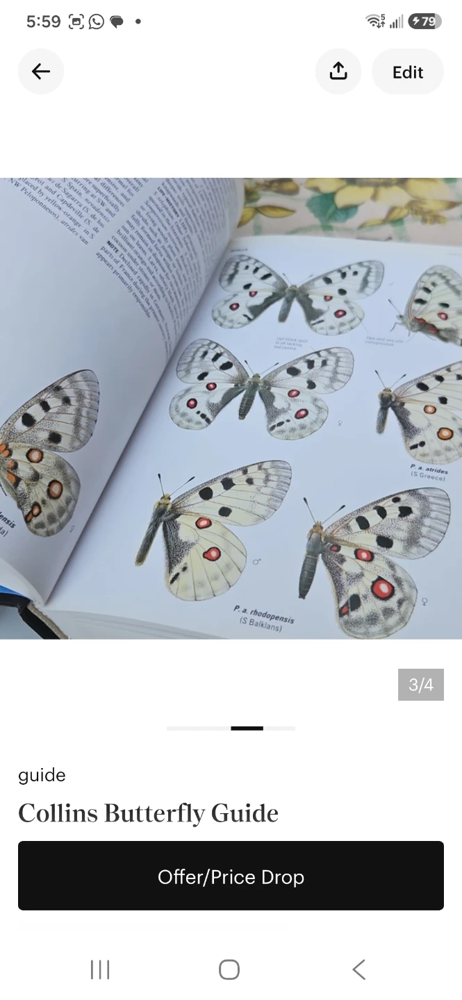 Collins Butterfly Guide - photo 3