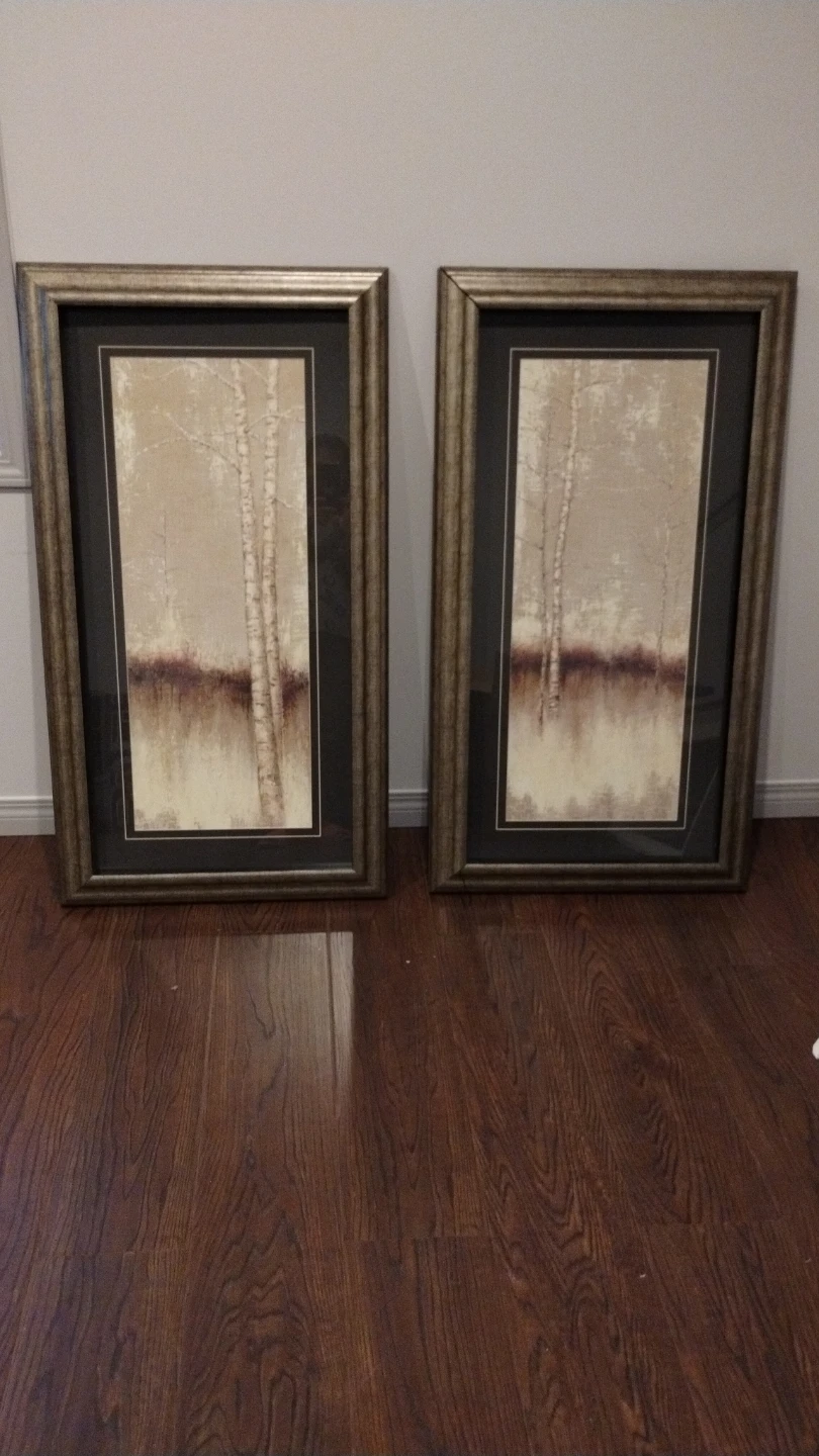 Set of Two Framed Forest Wall Art Prints