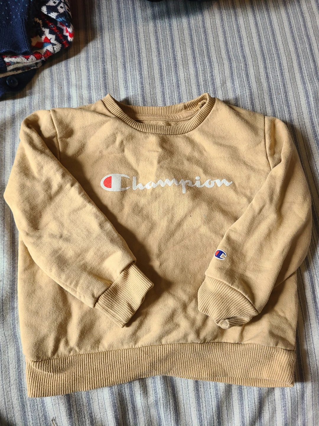 Champion Tan Sweatshirt - 18M