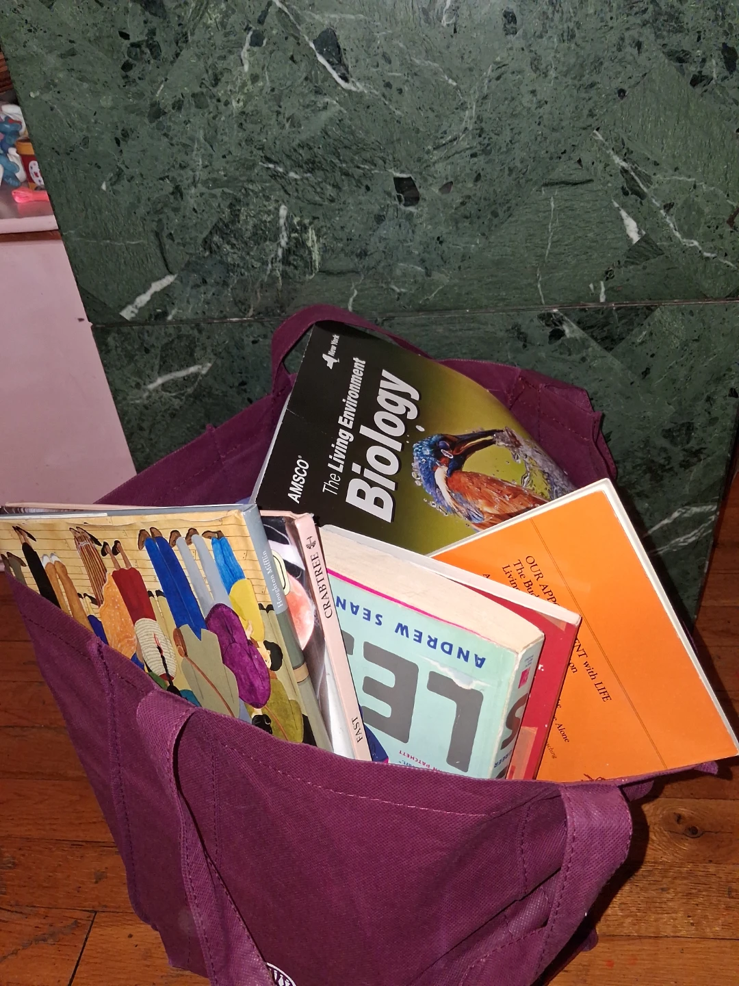 Bunch of Good Kids Books - photo 2
