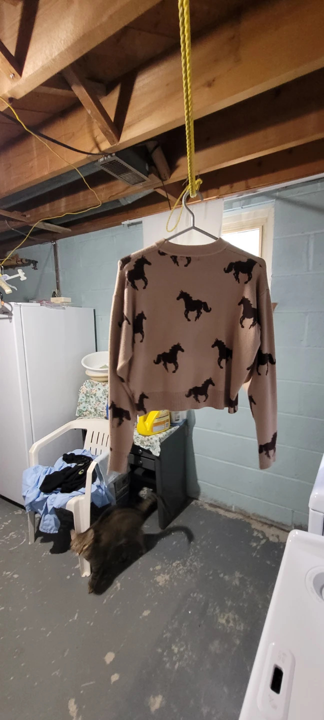 Horse Sweater/Stuffies - photo 3
