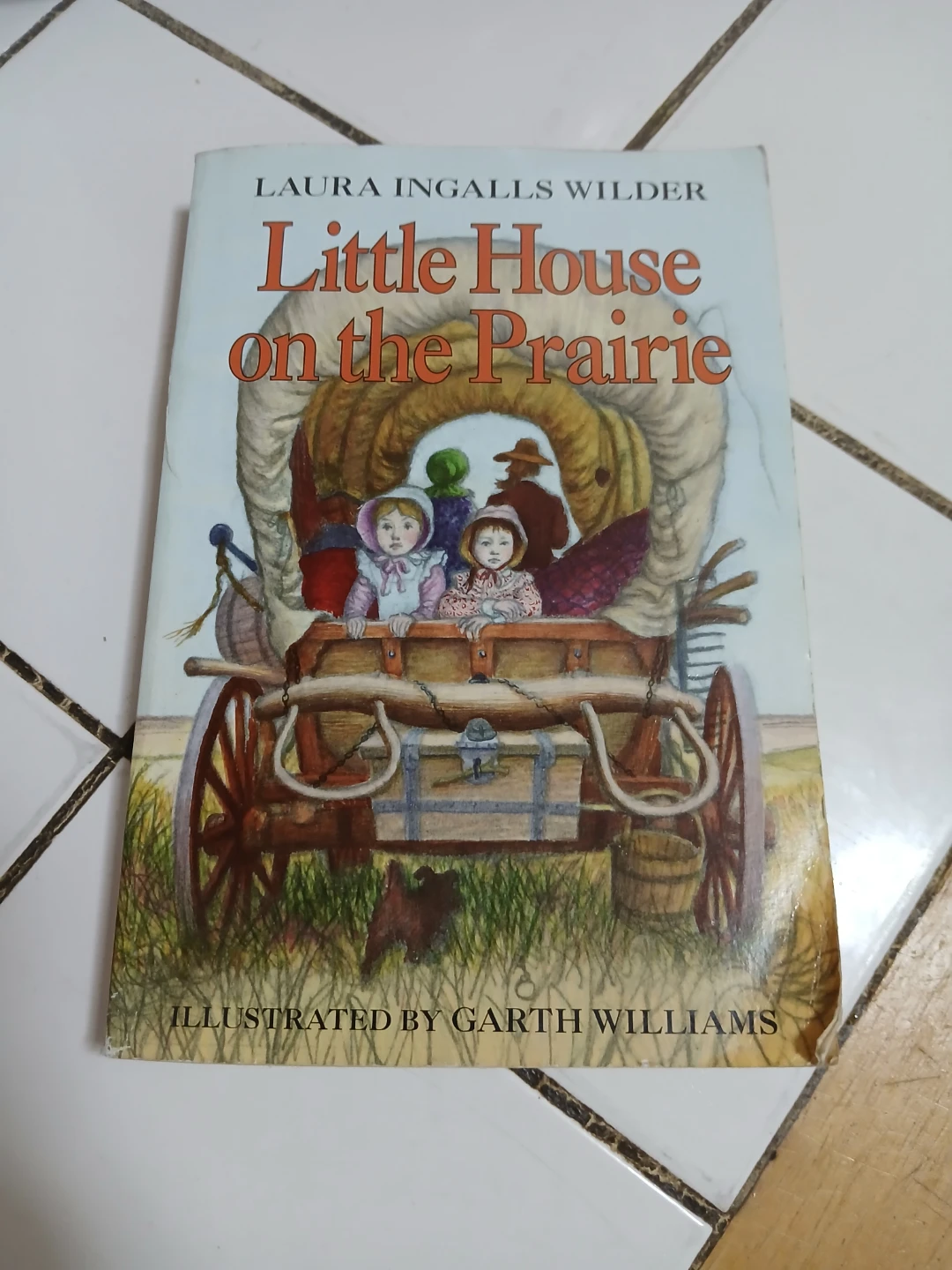 Little House on the Prairie by Laura Ingalls Wilder🏈