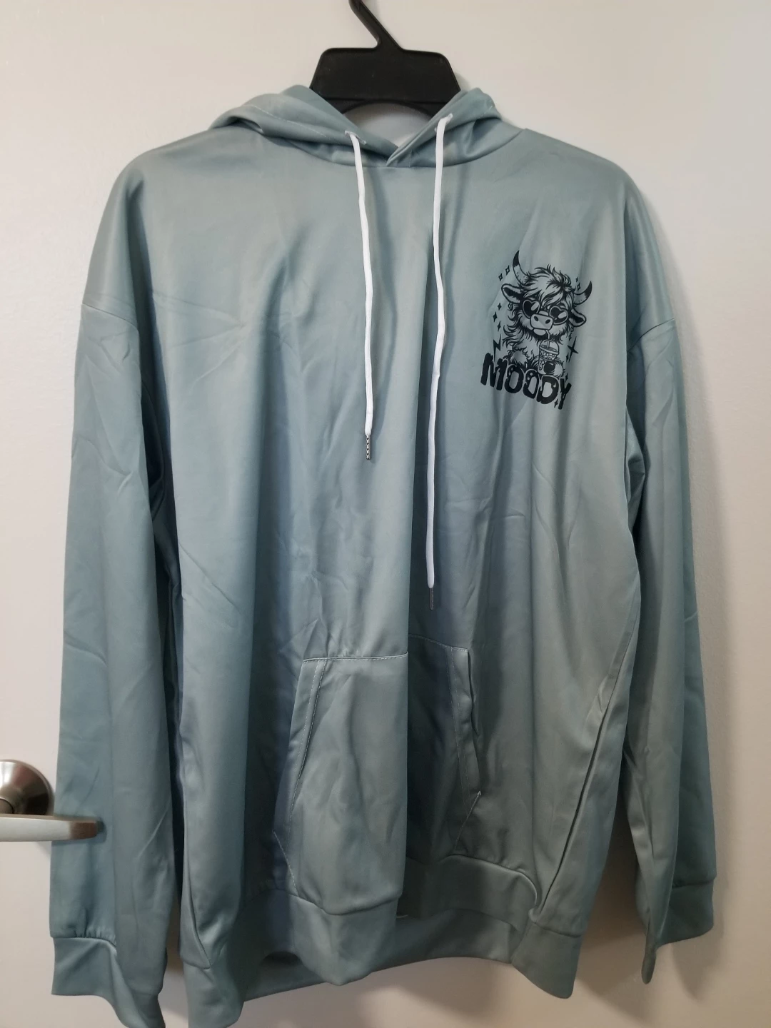 Moody Highland Cow Graphic Hoodie XL