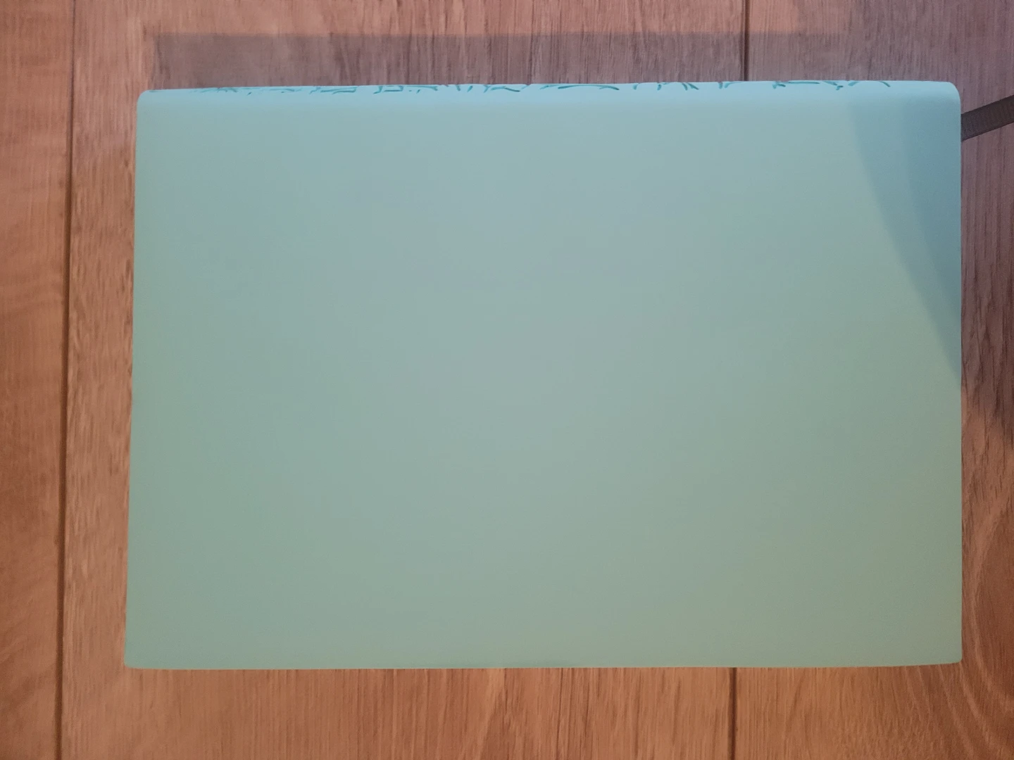Floral Embossed Mint Green Notebook - photo 3