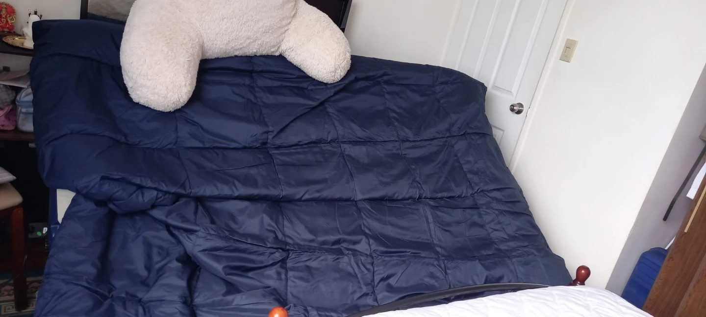 Active Era Premium Queen Air Bed - photo 2
