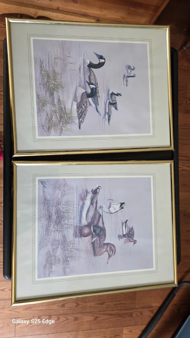 Set of Two Ann Moller Duck Prints