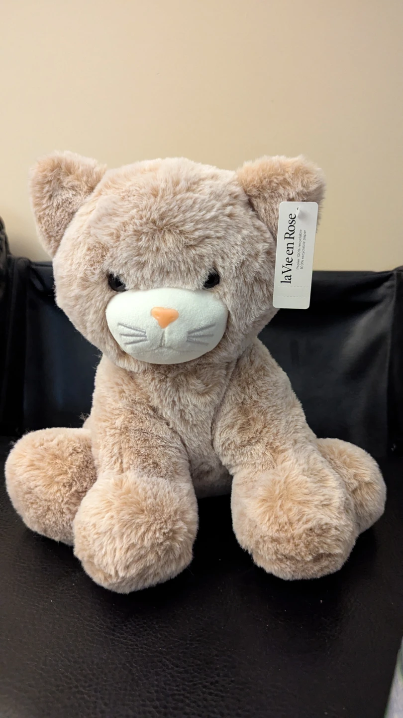 La Vie en Rose Cat Plush brand new