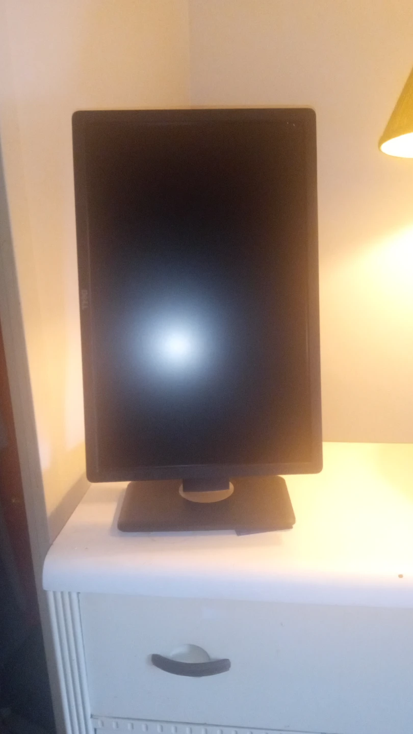 Dell Adjustable Computer Monitor - photo 2