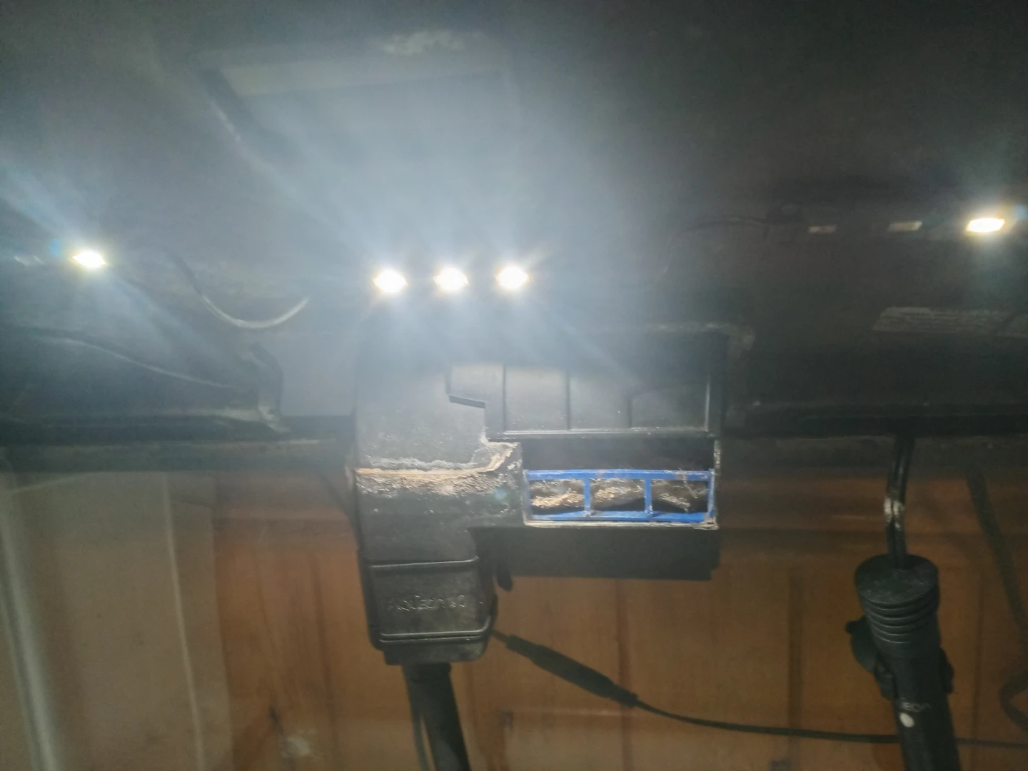 10 gallon fish tank with supplies