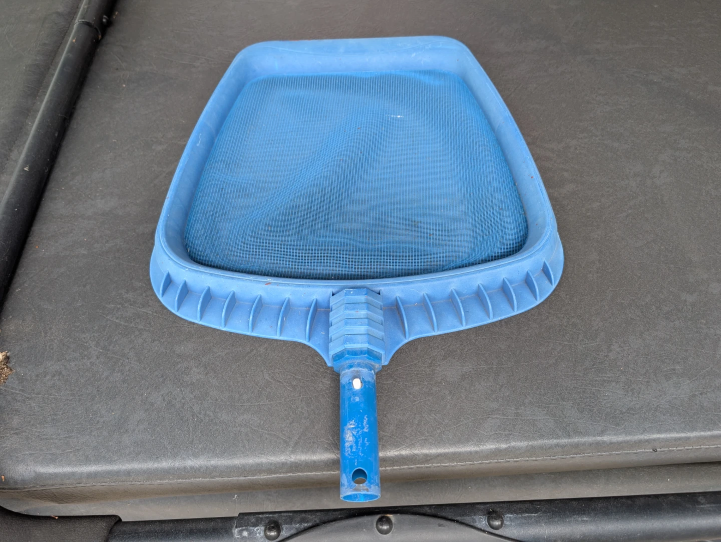Blue swimming pool skimmer net
