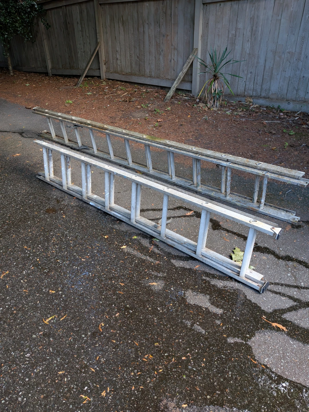 Aluminum Extension Ladder - photo 3