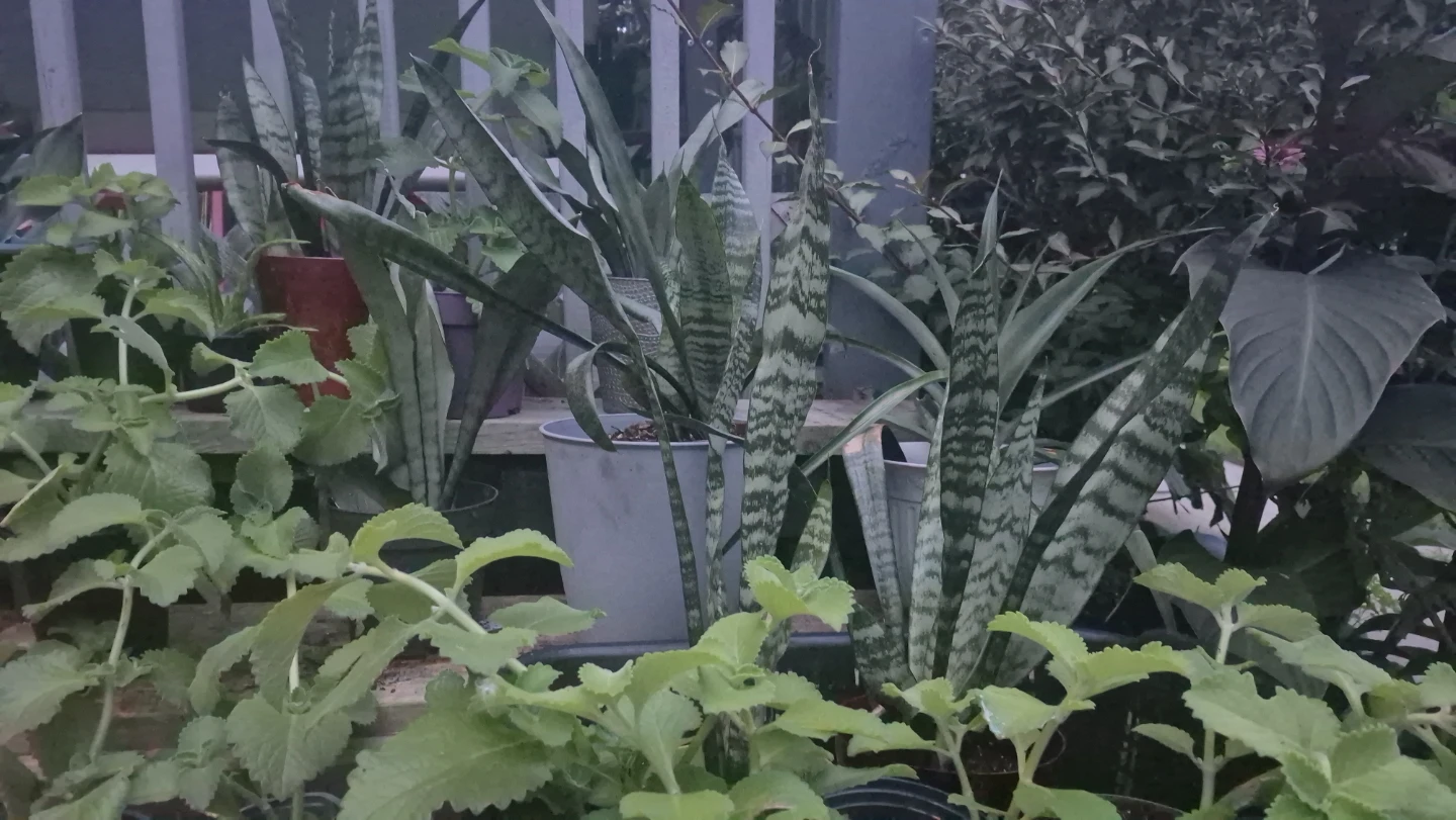 Home and Garden - photo 3