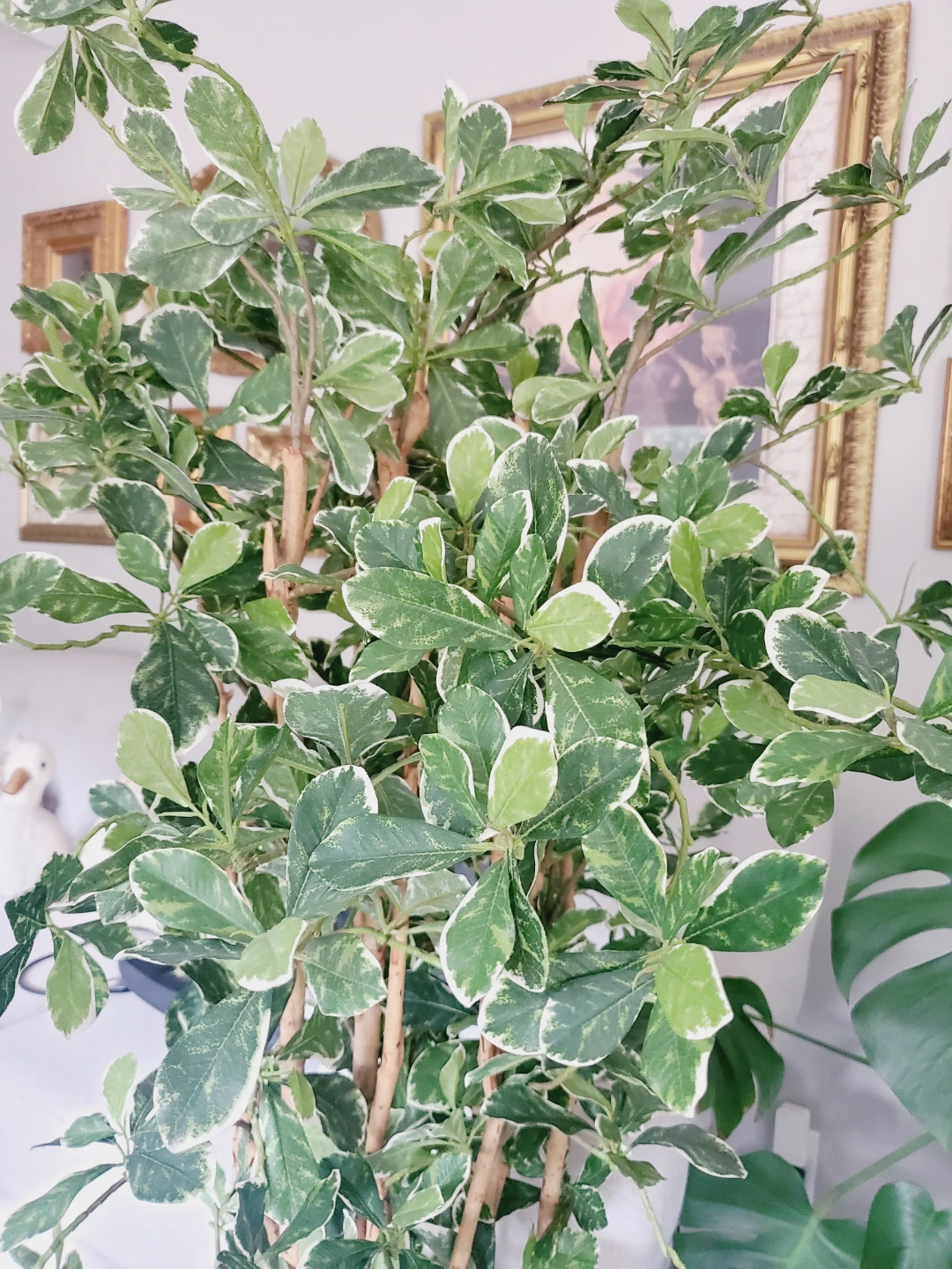 Variegated Artificial Floor Plant - photo 2