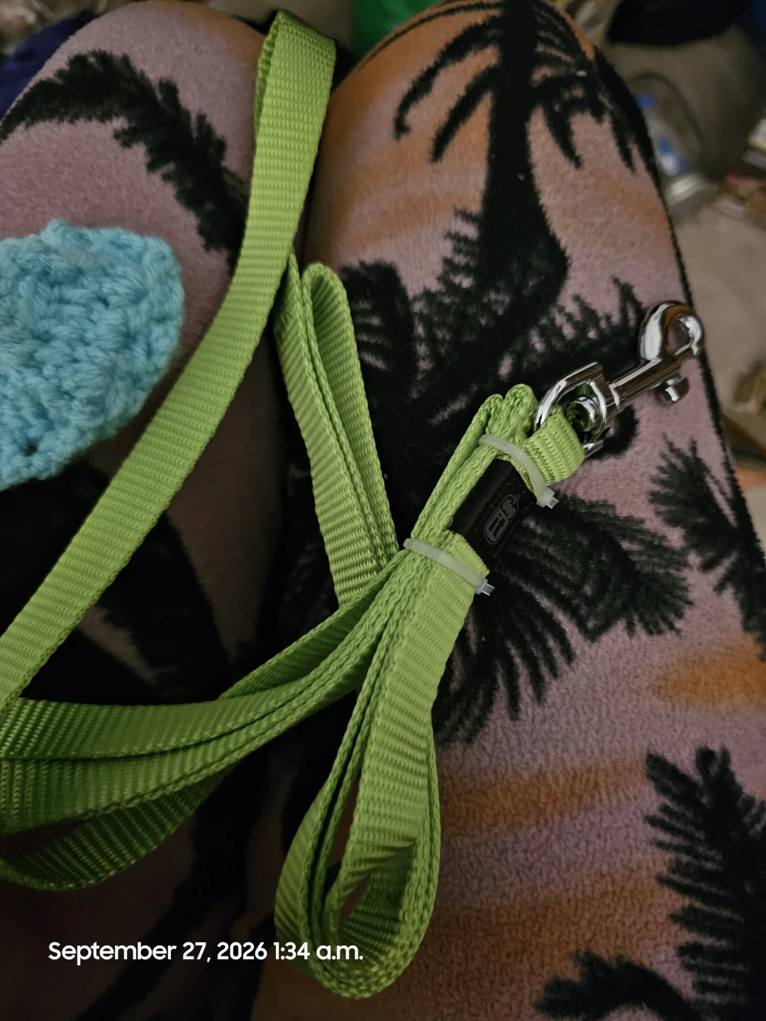 Bearded dragon light blue crocheted pet toy with green leash - photo 2