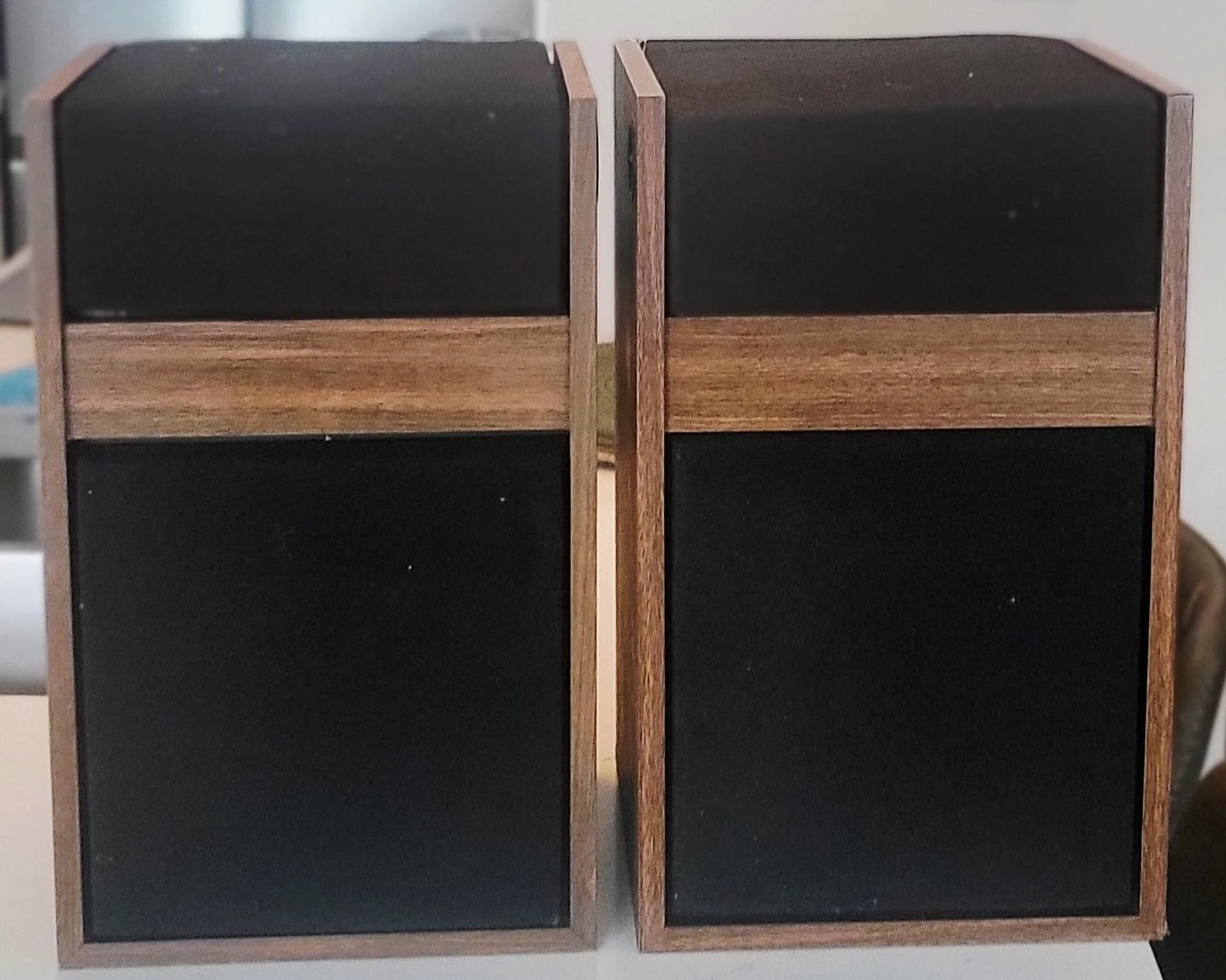 Bose Model 301 Vintage Speakers - photo 2