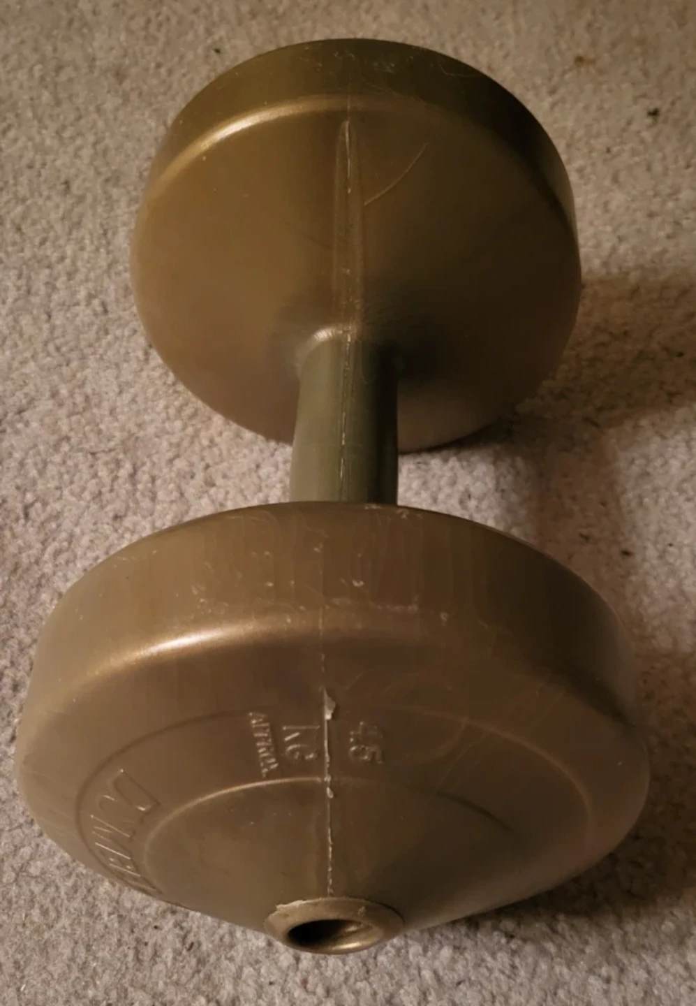 4.5 kg Dumbbell (10 lb)
