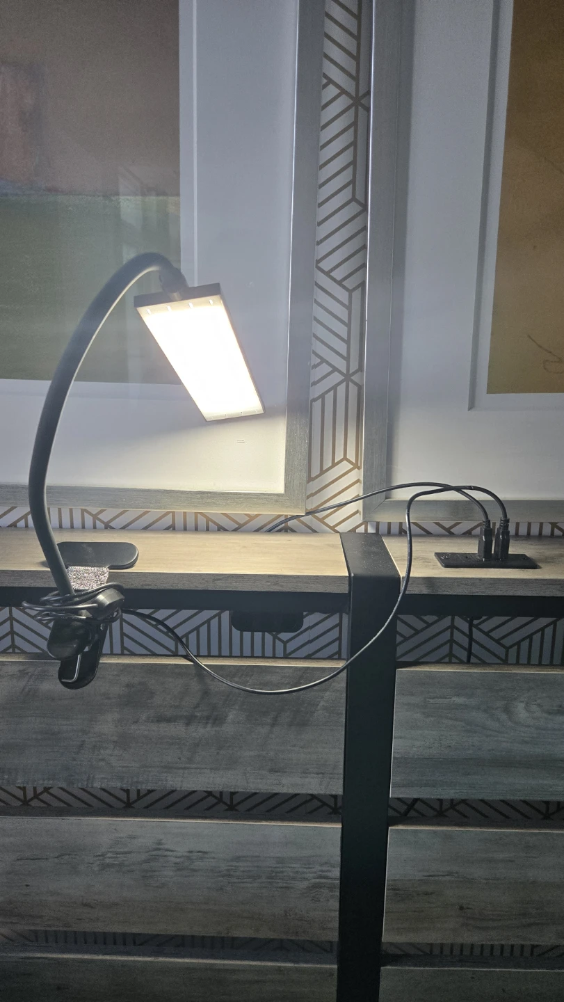 Clip-on LED Desk Lamp