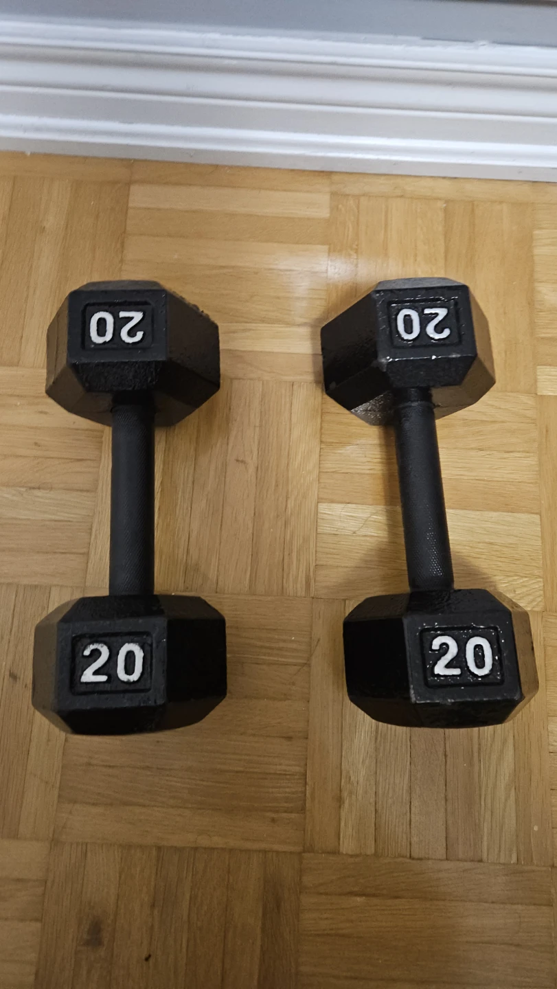 20 lb Hex Dumbbells (Pair)