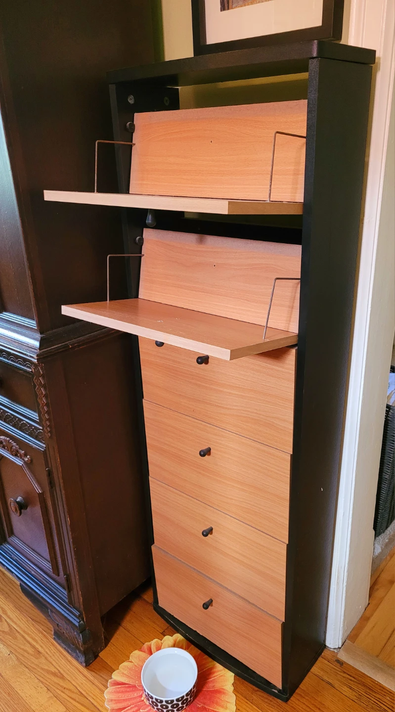 Tall Wooden CD or Shoe Cabinet - photo 2
